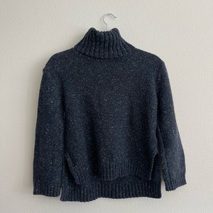 madewell navy turtle knit sweater